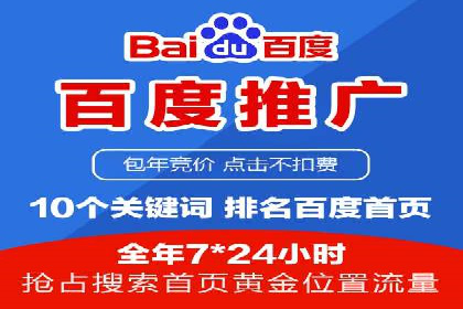 SEM推广实战：成功案例解读与策略调整